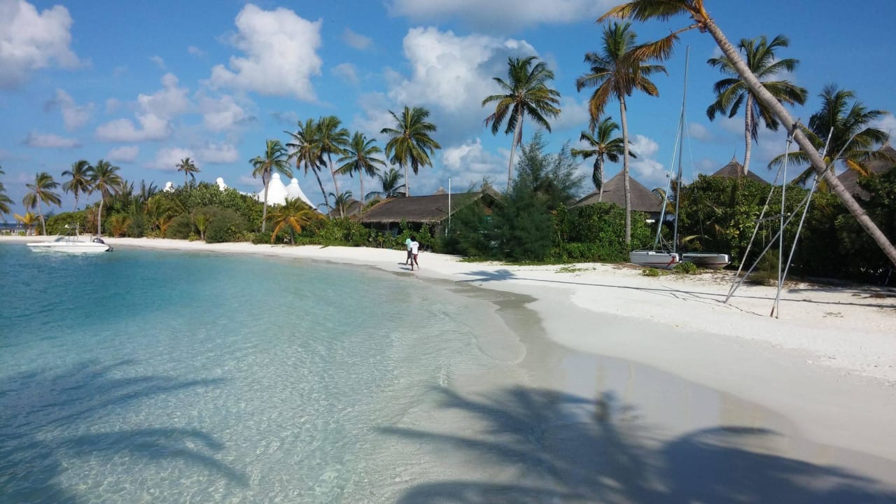 Strand  Safari Island Maldives
