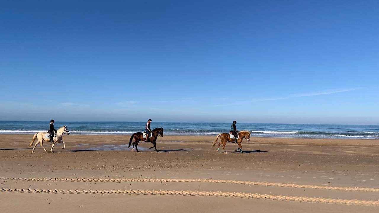 Strand Aldiana Club Andalusien