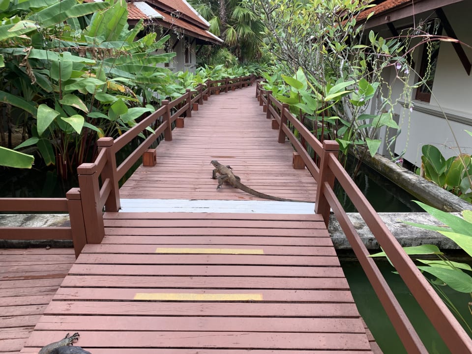Gartenanlage Khaolak Laguna Resort