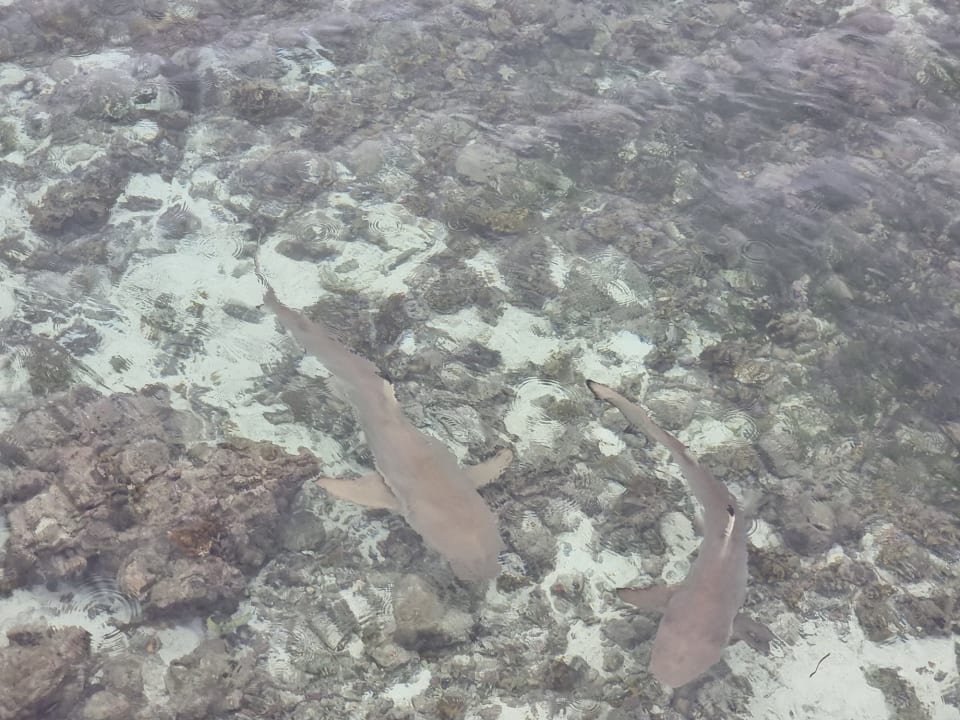 Strand Adaaran Select Hudhuran Fushi - Premium All Inclusive