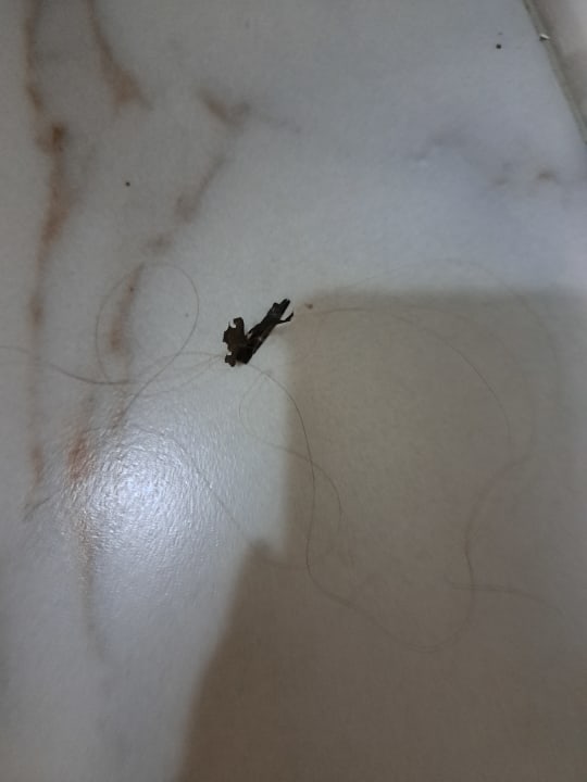 Zimmer Alexius Beach Hotel