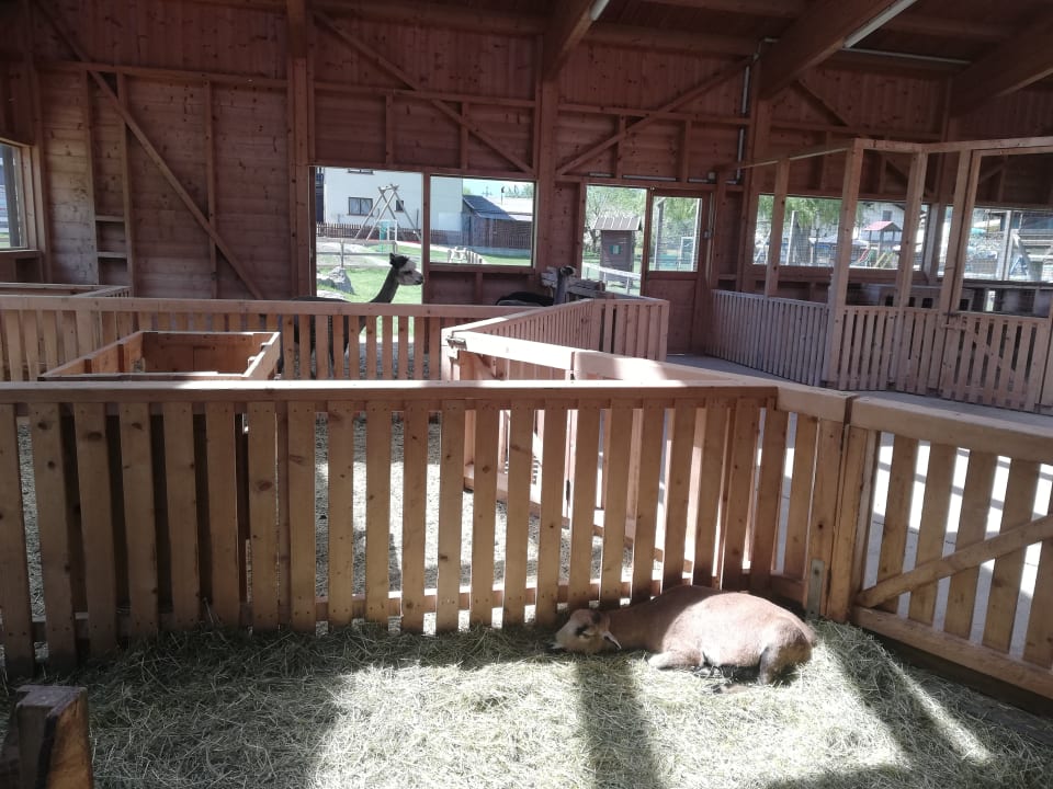 Gartenanlage Kinderhotel Felben