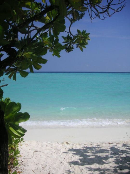 Ausblick Zimmer 145 Villa Park Sun Island