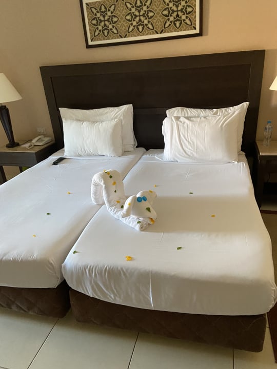 Zimmer Jaz Dar EL Madina