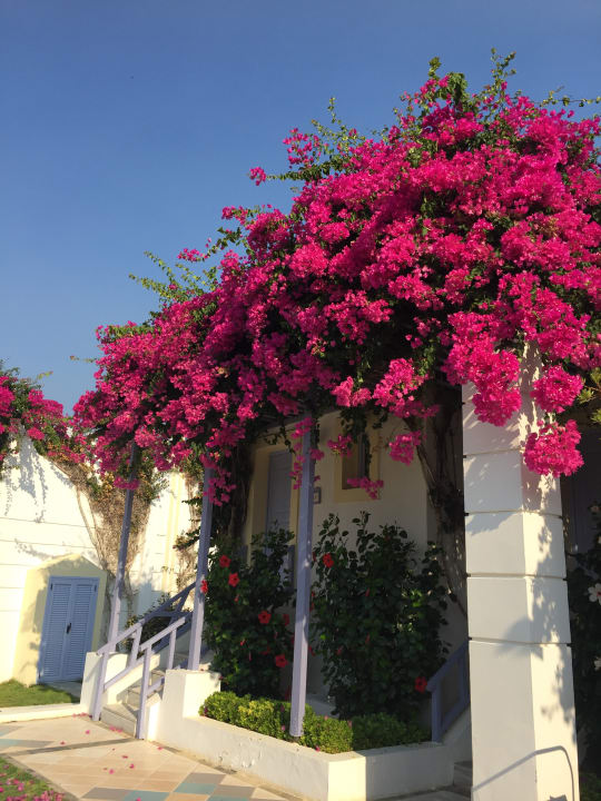 Außenansicht Hotel Serita Beach