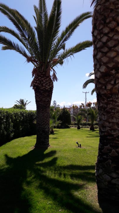 Außenansicht Anissa Beach & Village