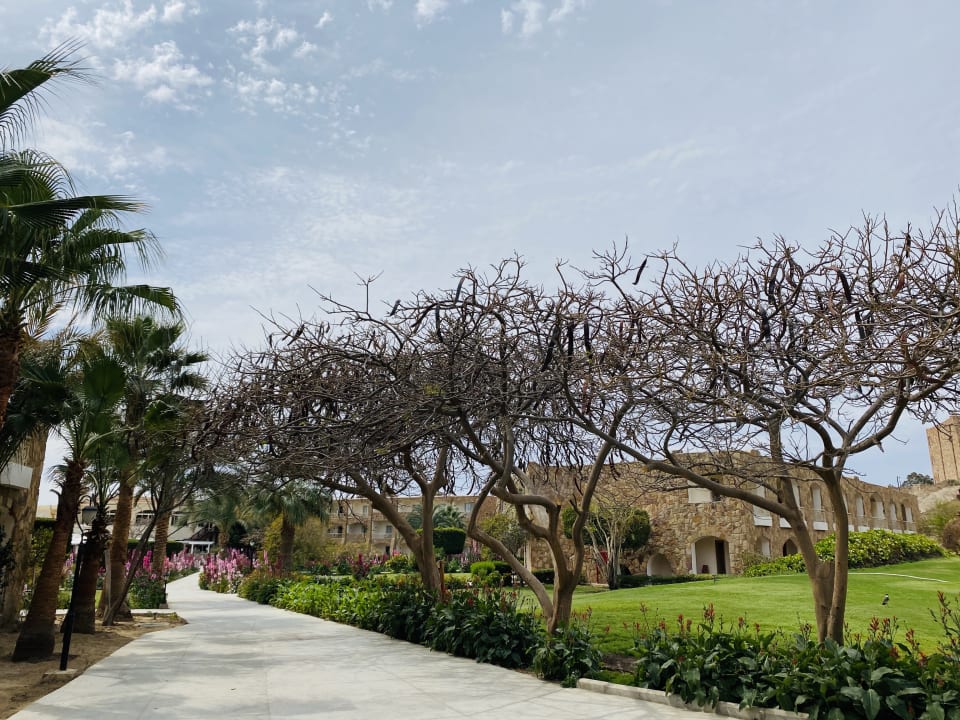 Gartenanlage Brayka Bay Resort