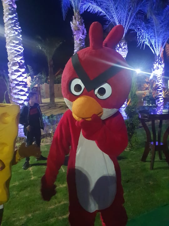 Sport & Freizeit Pickalbatros Jungle Aqua Park Resort - Neverland Hurghada