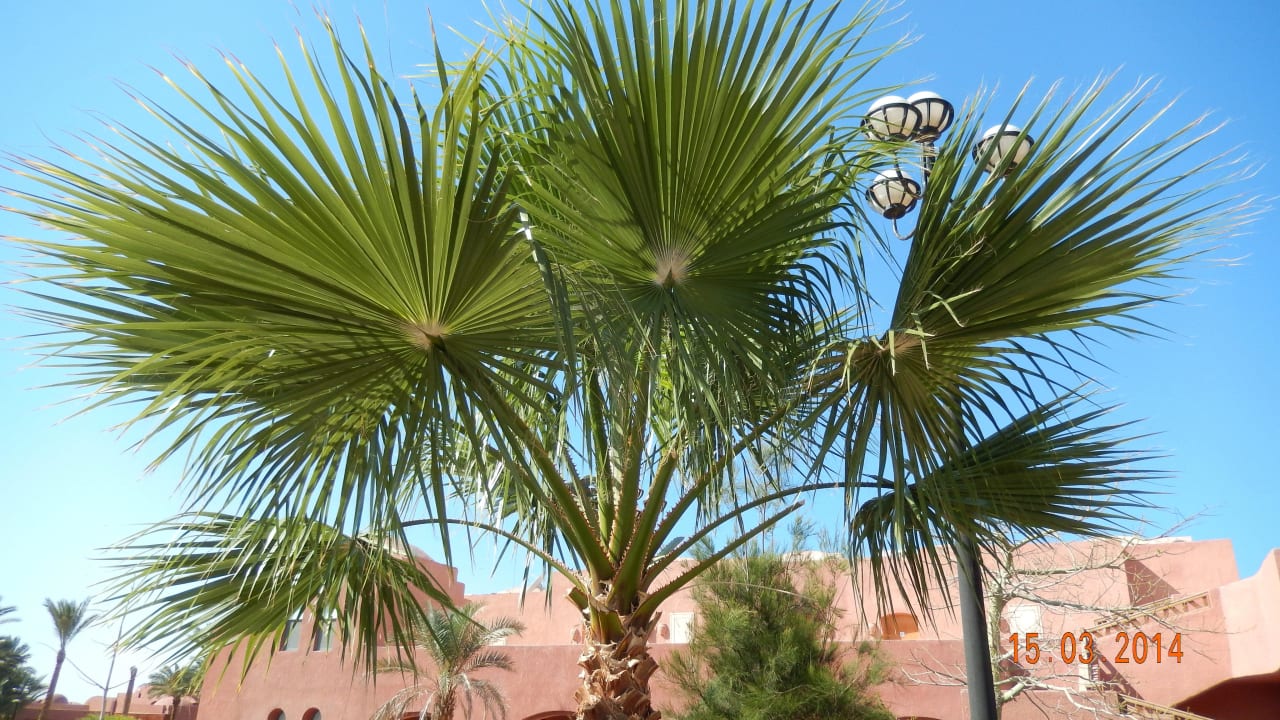SENTIDO Oriental Dream Resort Swisstouch Oriental Resort Marsa Alam