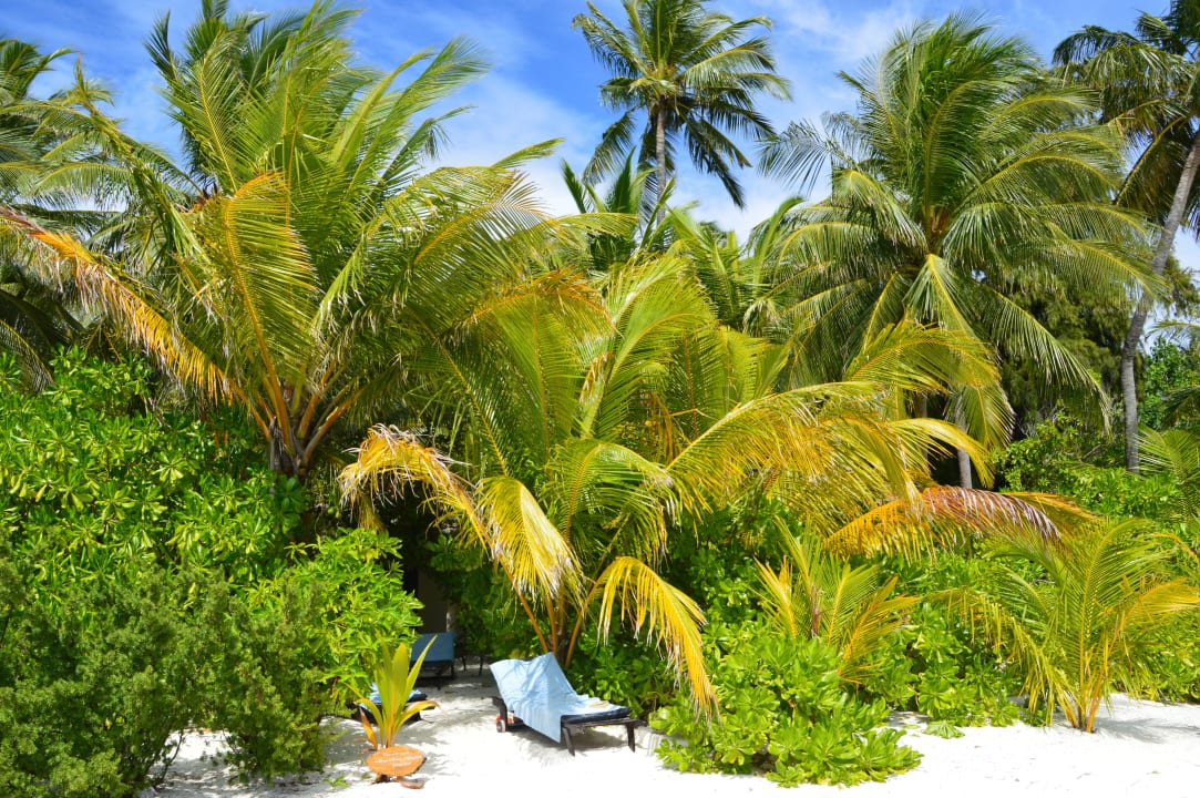 Plaza Ellaidhoo Maldives by Cinnamon