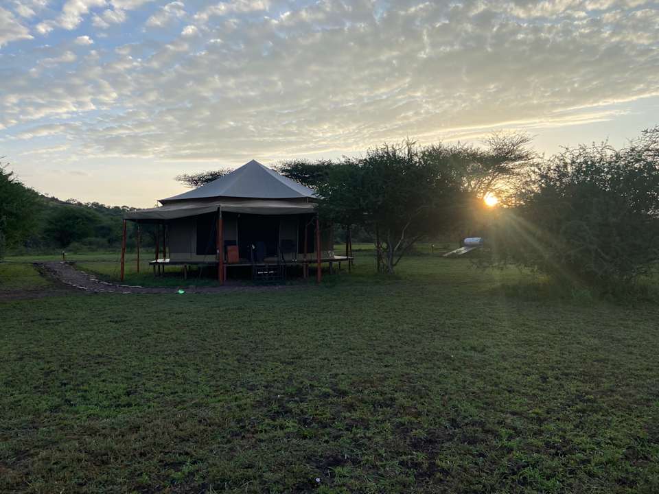 Zimmer Sound Of Silence