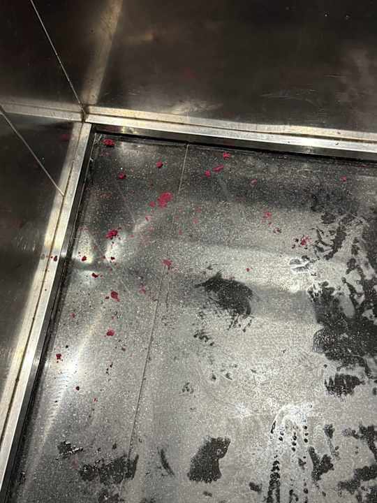 Sonstiges Asteria Collection Side