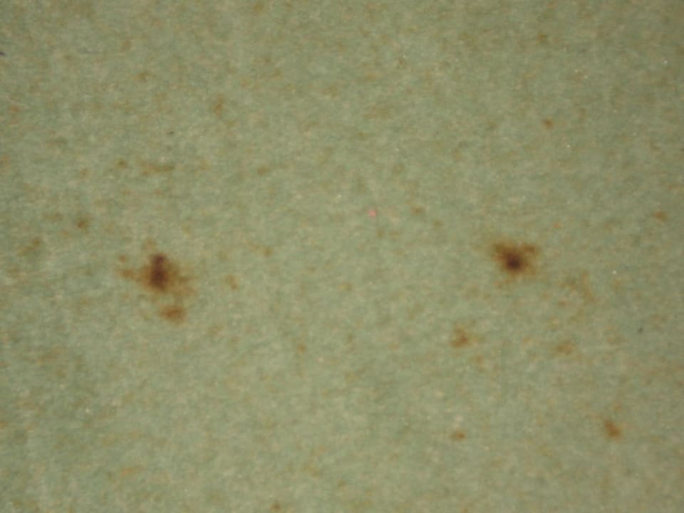 Teppichboden Side Bay Hotel