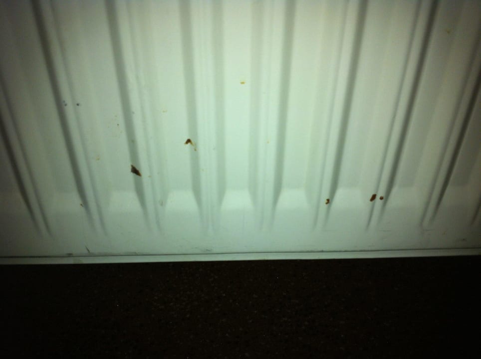 Wohnzimmer Ferienwohnungen Ferienpark Weissenhäuser Strand