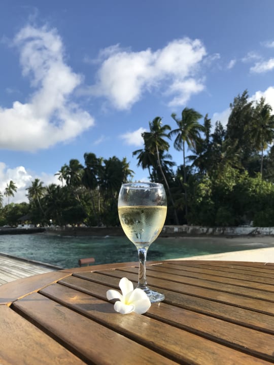 Gastro Equator Village Resort