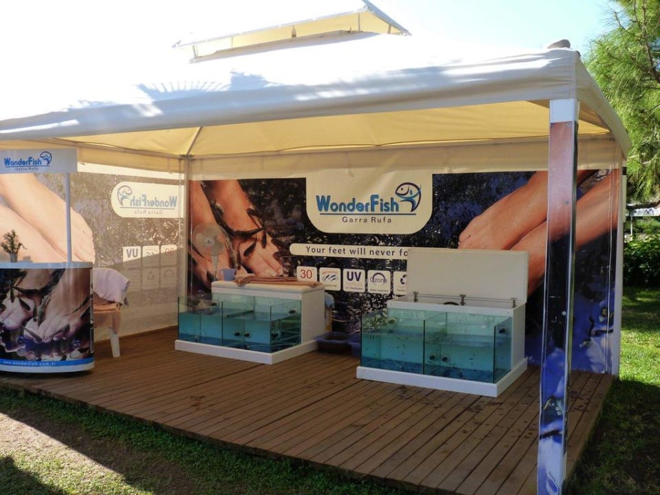 Pedicure z rybkami Garra Ruffa. Crystal Flora Pearl Collection