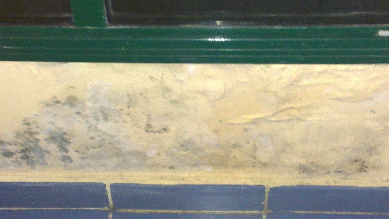 Schimmel an der Fensterfront Starfish Montehabana