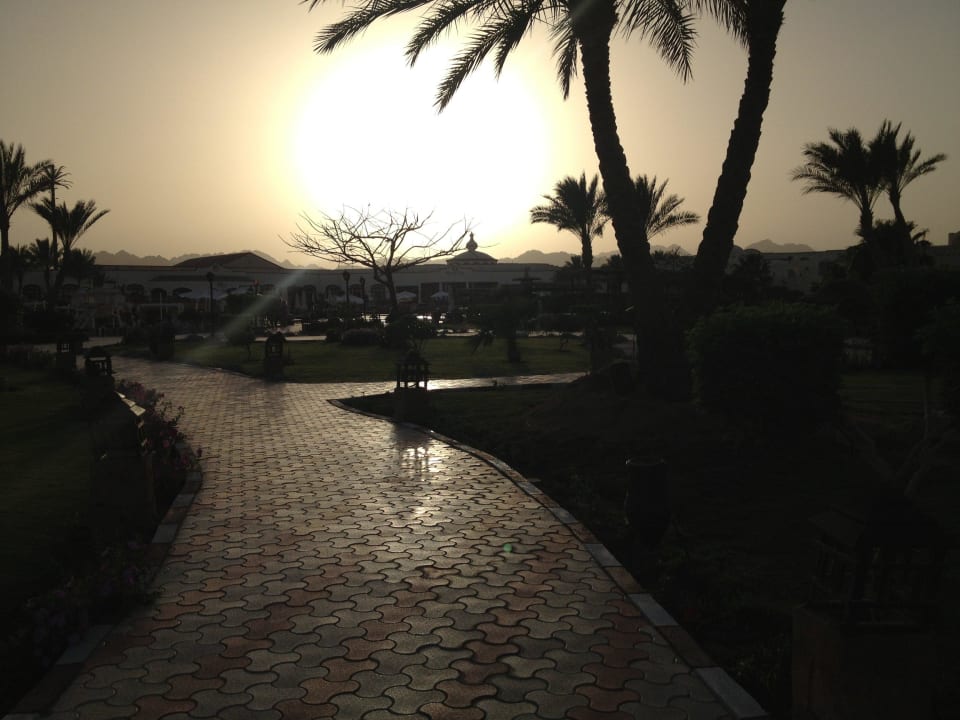 Nice garden throughout the resort Regency Plaza Aqua Park & Spa