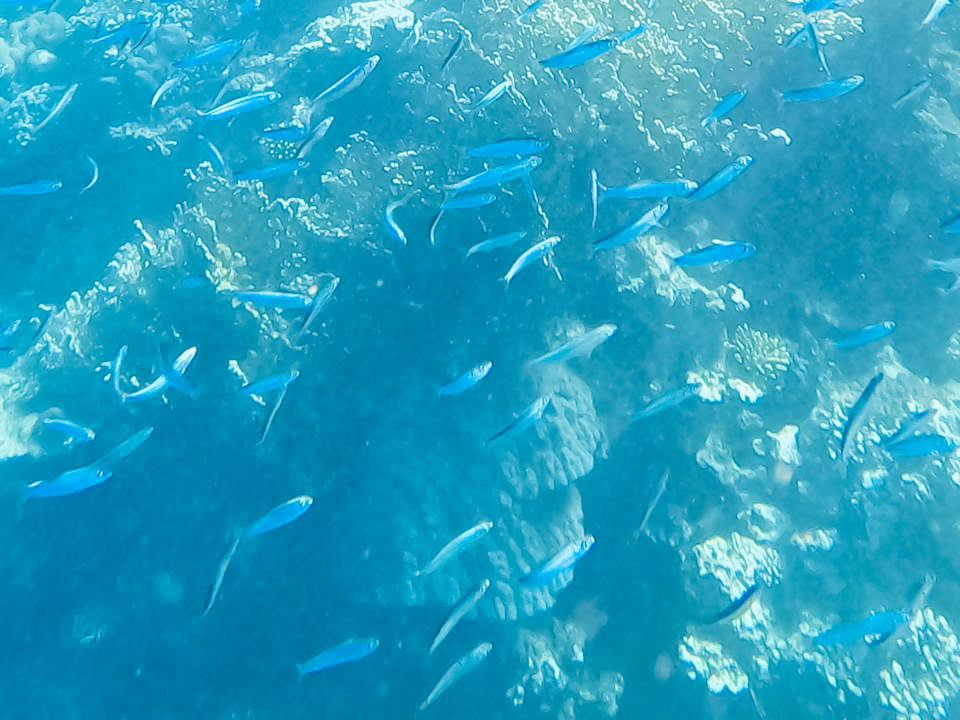 Strand Albatros Makadi Resort