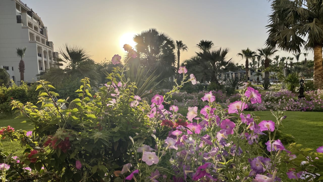 Gartenanlage Steigenberger ALDAU Beach Hotel