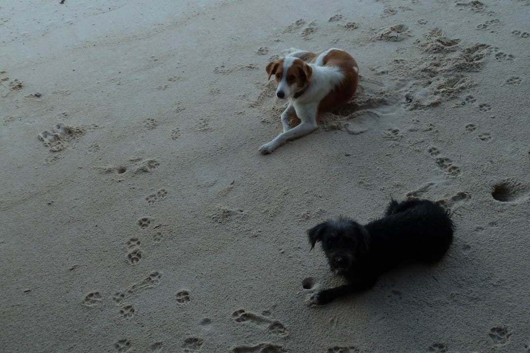 2 liebe Vagabunden La Digue Island Lodge