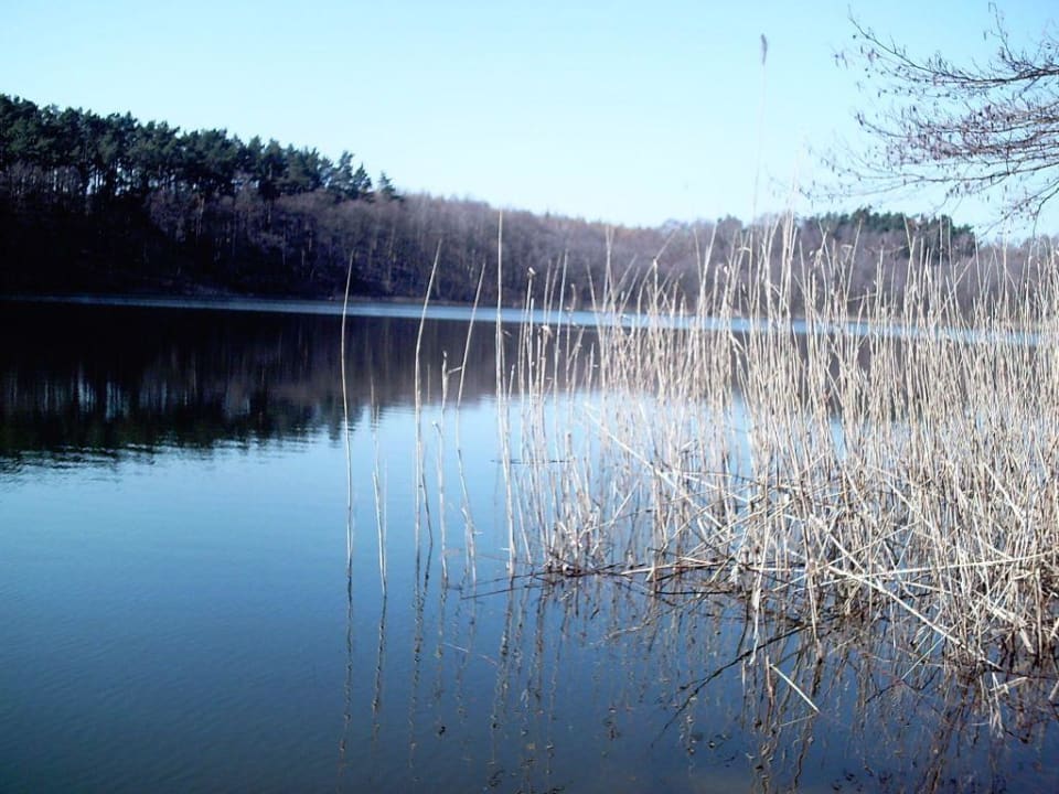 Umgebung Hotel zum Löwen