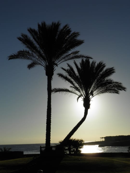 Sonnenaufgang 2 Steigenberger Coraya Beach - Adults only