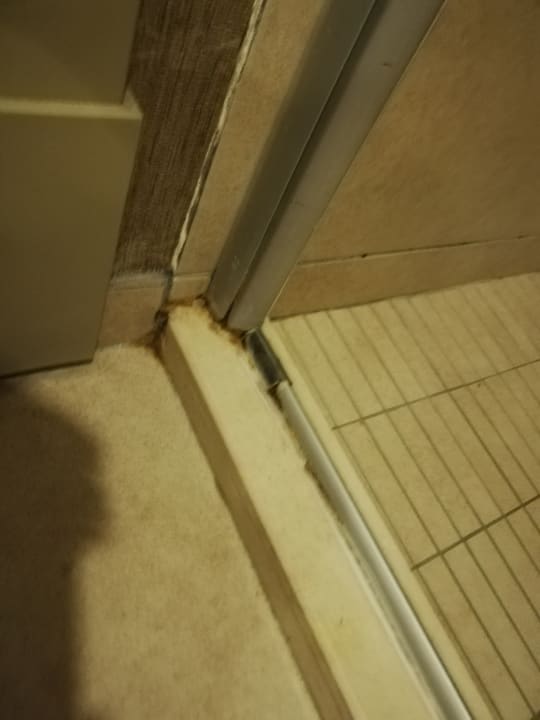 Zimmer Well Palace Side