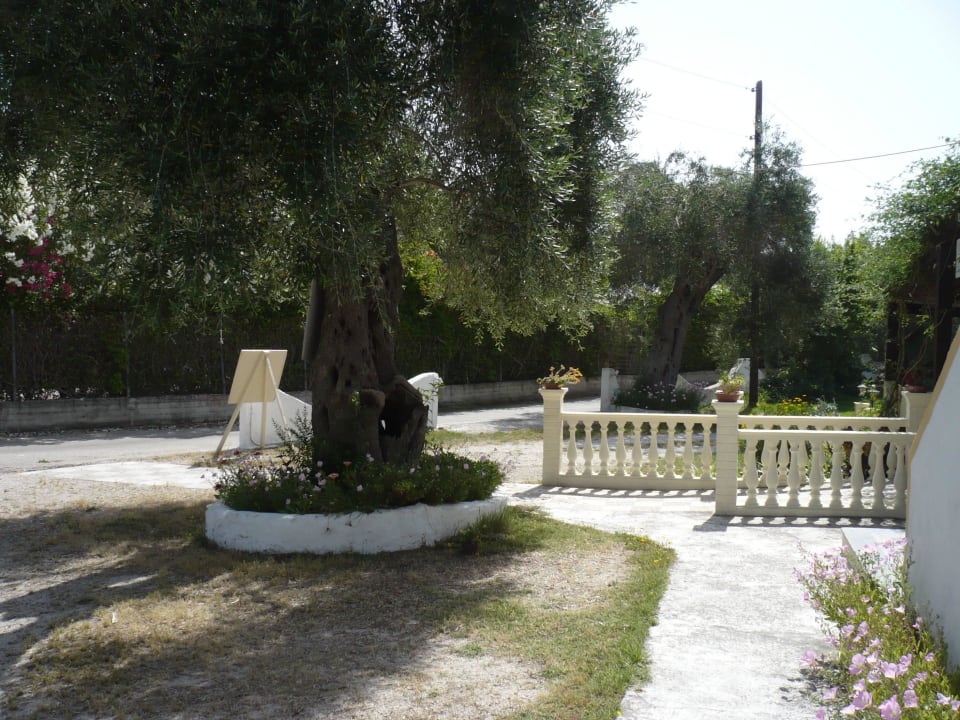 In the garden Hotel Fire Fly