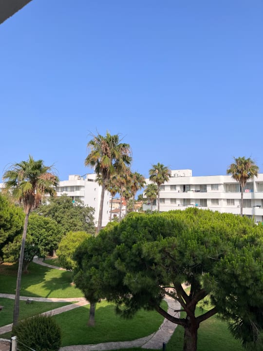 Gartenanlage Tropicana Hotel