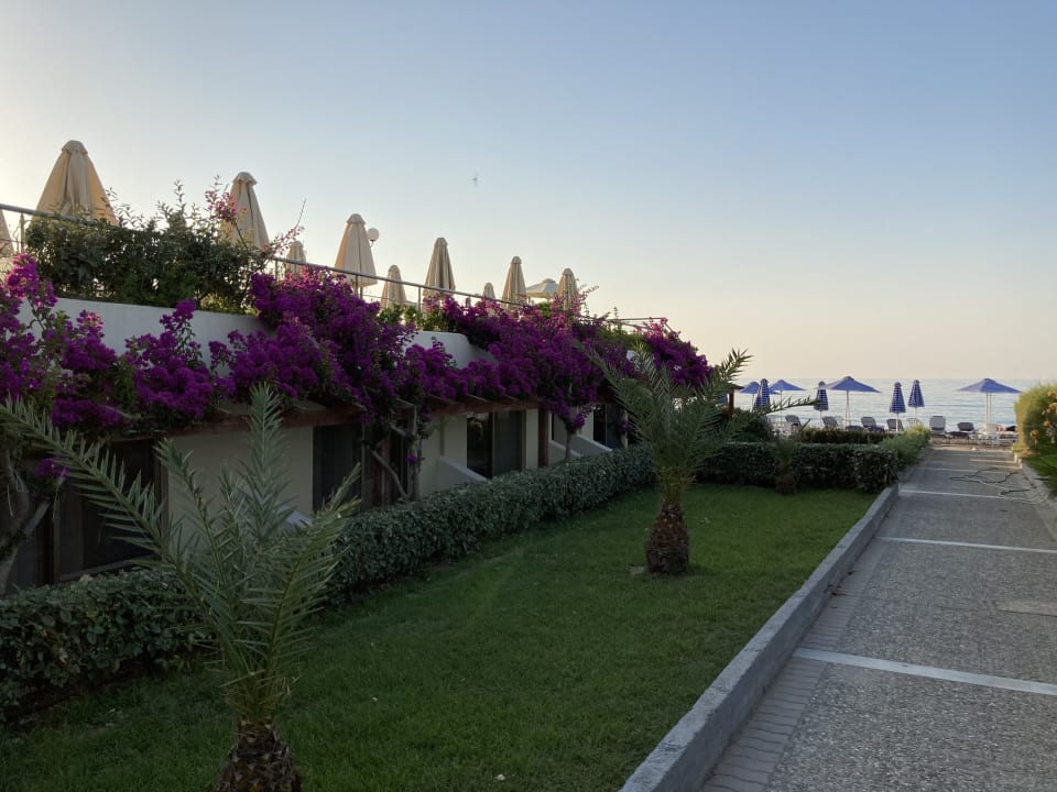 Gartenanlage Hydramis Palace Beach Resort