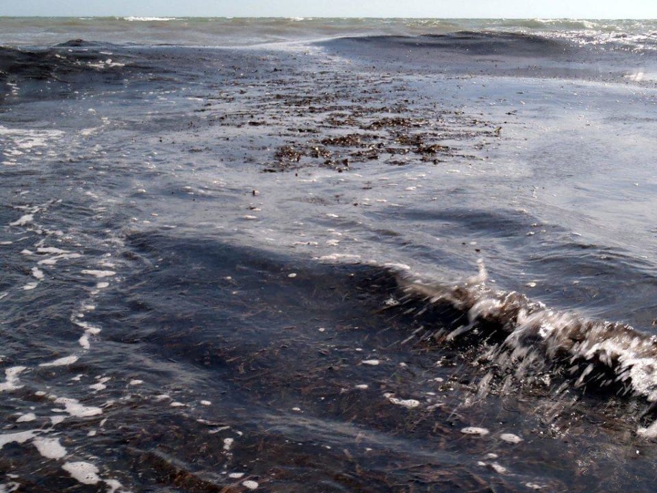 Meer bei Schlechtwetter voller Seegras Zita Beach Resort