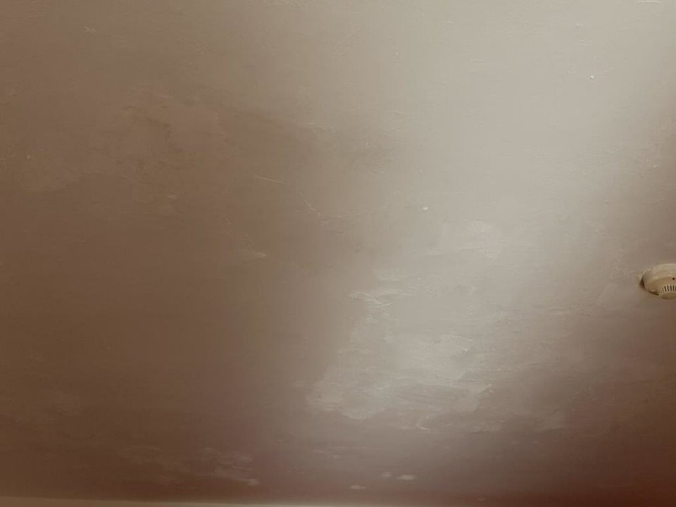 Zimmer Hotel Gorgonia Beach Resort