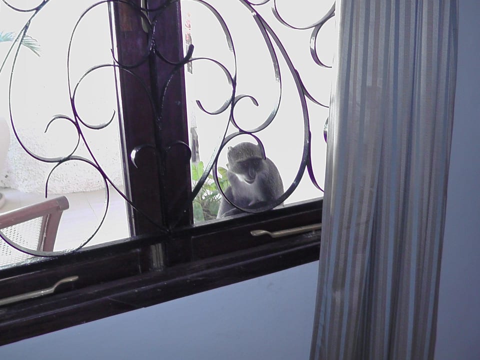 Affe Ocean Village Club