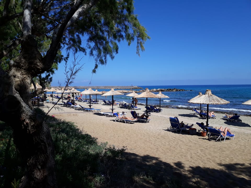 Strand Phãea Cretan Malia