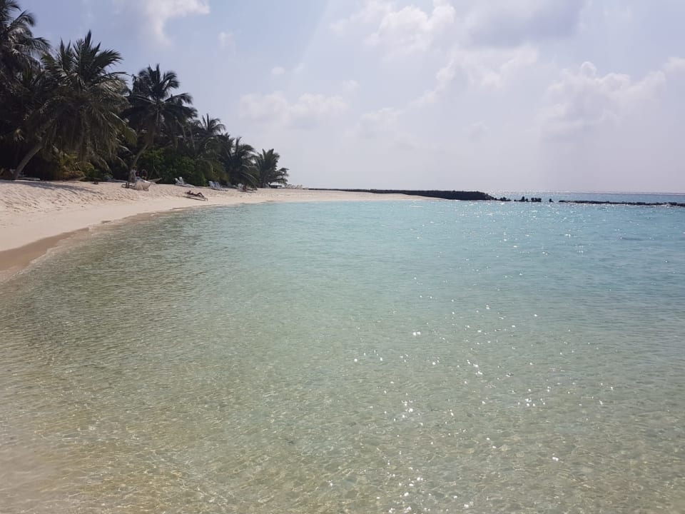 Strand Summer Island Maldives