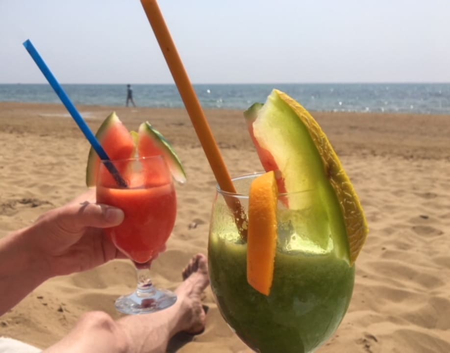 Strand Seashell Vega