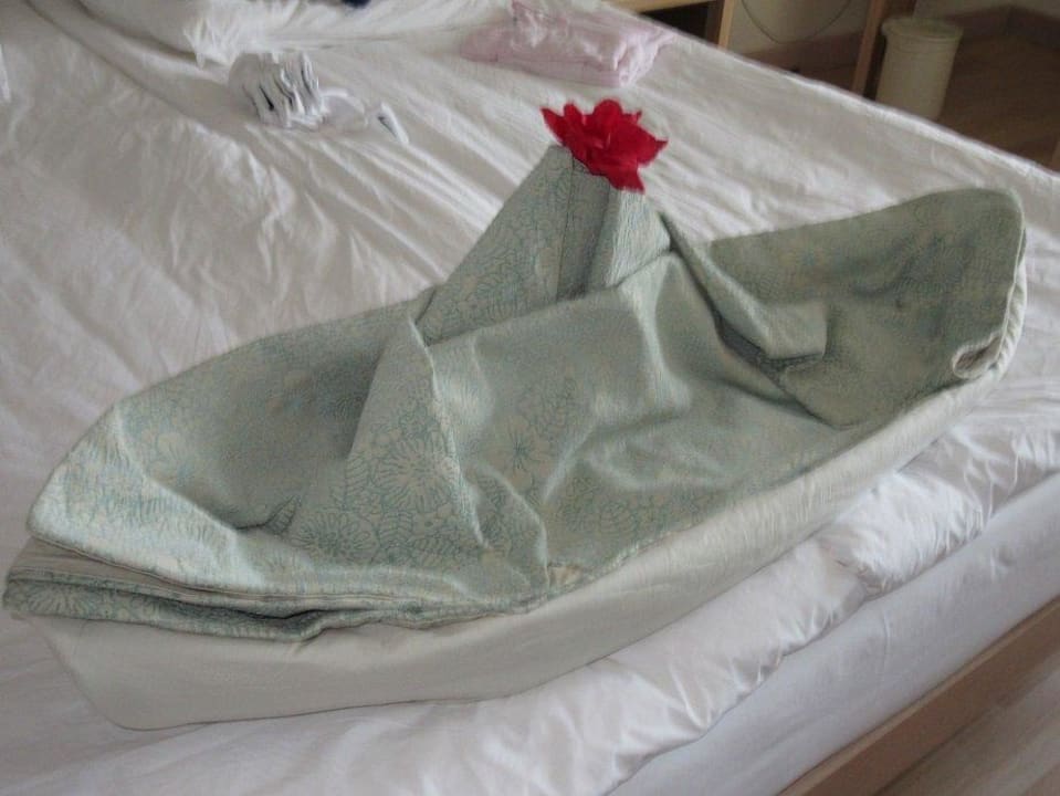 Nette Putzfrau ROBINSON SARIGERME PARK