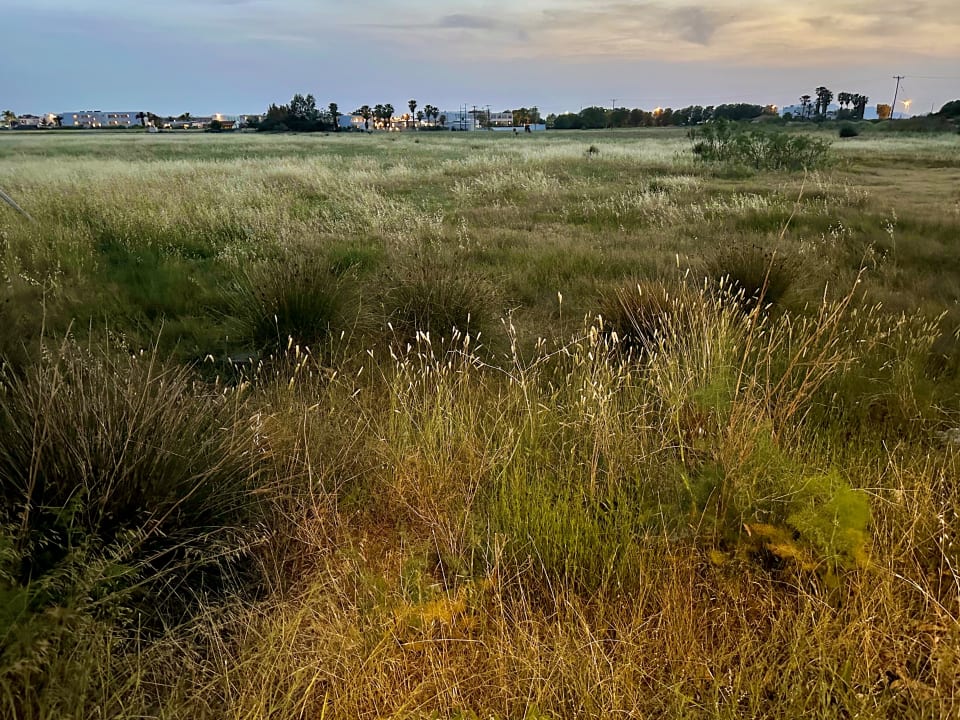 Ausblick Hotel Esperia