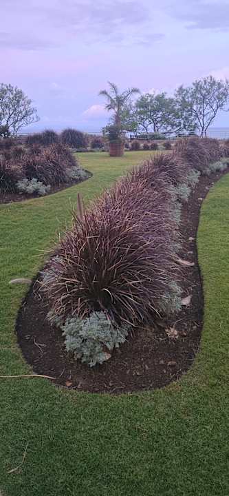 Außenansicht Pestana Grand Ocean Resort