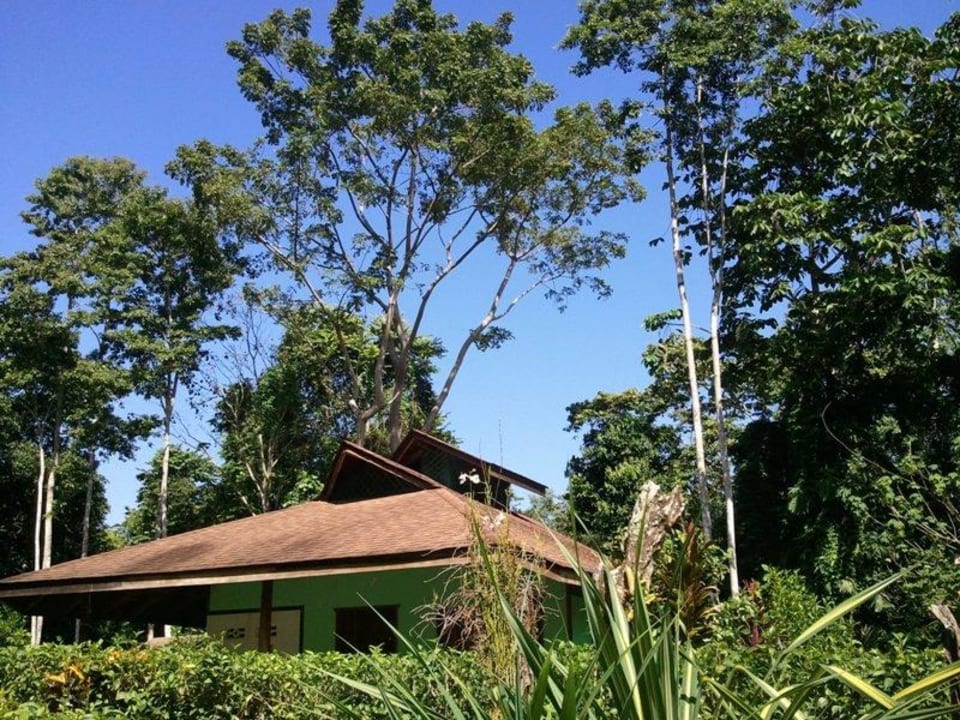 Cabina Typ C Cabinas Wolfsong Cahuita