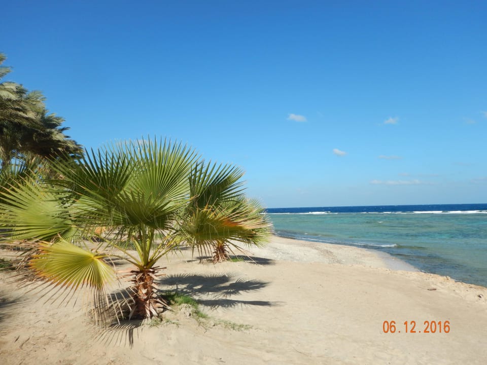 Urlaubsfeeling pur Brayka Bay Resort