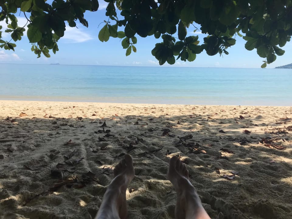 Strand STORY Seychelles
