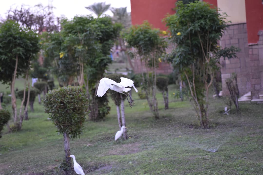 Gartenanlage SUNRISE Cardina Resort