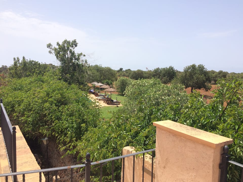 Ausblick Finca Son Marimon