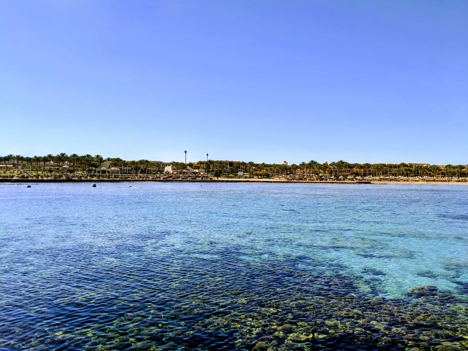 Strand Jaz Solaya