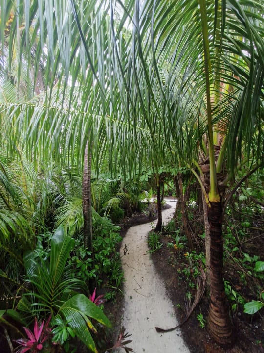 Gartenanlage Kandima Maldives
