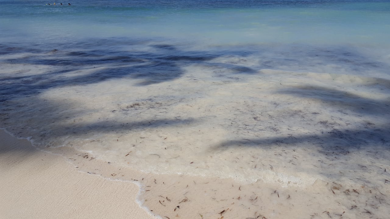 Strand Wyndham Alltra Samana