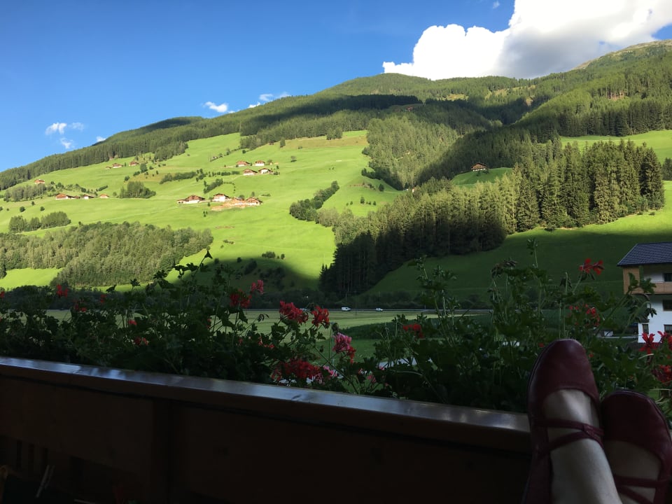 Ausblick Hotel Martinshof