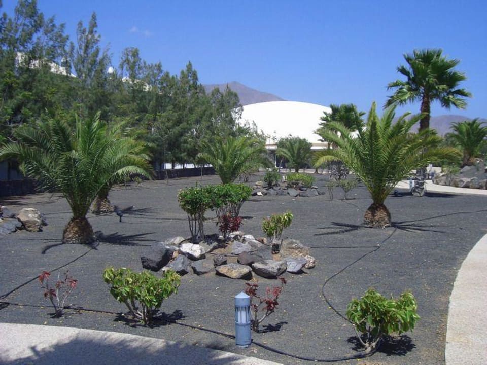 Gartenanlage Hotel THB Tropical Island